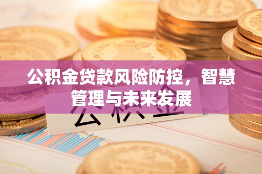 金昌公积金贷款风险防控，智慧管理与未来发展