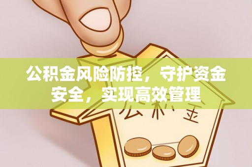金昌公积金风险防控，守护资金安全，实现高效管理