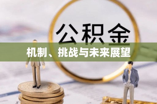 金昌机制、挑战与未来展望